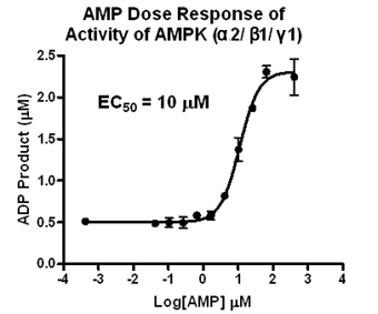 Activation of AMPK211