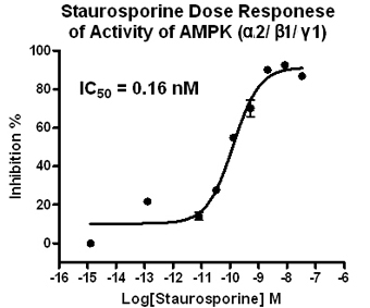 Inhibition of AMPK211