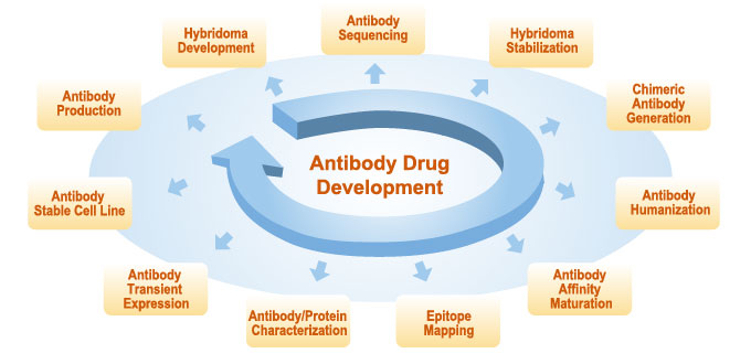 Antibody Drug Development Center Antibody Drug Development Center