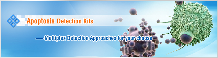 Apoptosis Detection Kits, Apoptosis Assay Kit