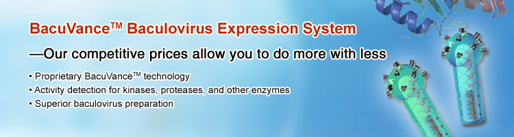 Baculovirus Expression System