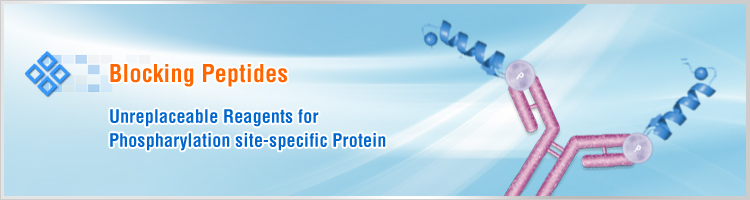 blocking peptides