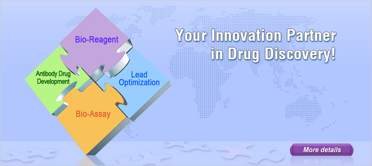 Your Innovation Partner in Drug Discovery