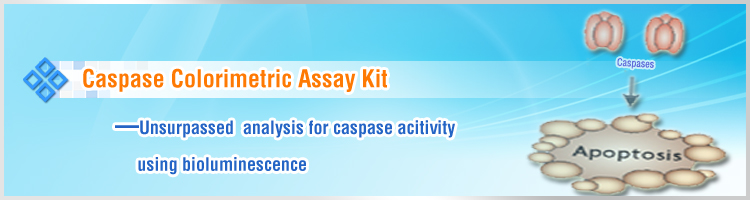 Caspase Colorimetric Assay Kits