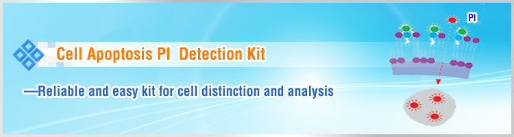 Cell Apoptosis PI Detection Kit