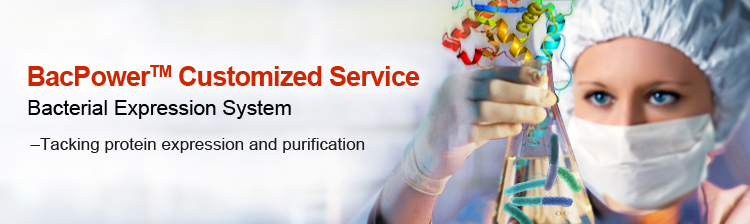Customized protein