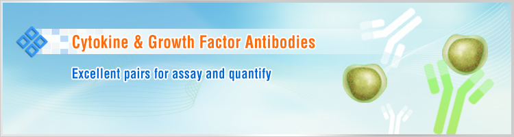 Cytokine and Growth Factor Antibodies
