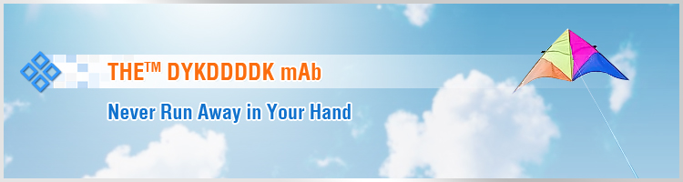 DYKDDDDK Tag Antibody