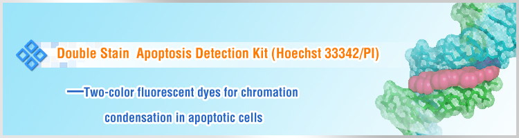 Double Stain Apoptosis Detection Kit