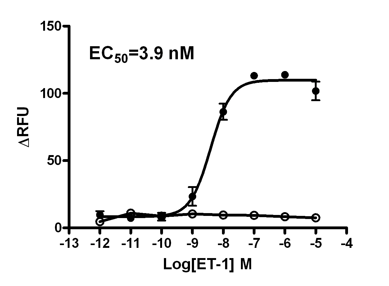 EDNRA receptor assay