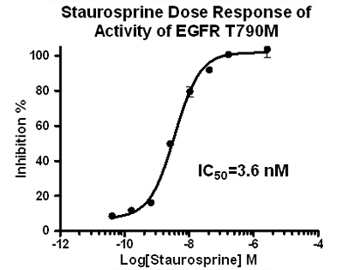 EGFR assay