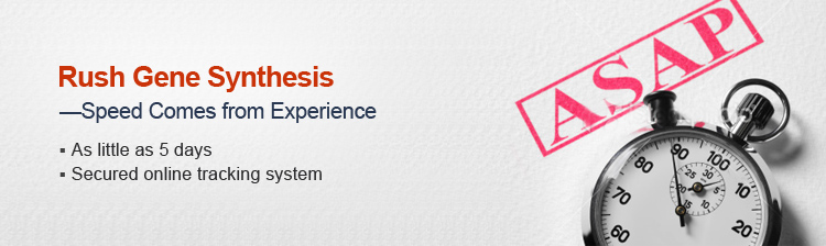 Express Gene Synthesis