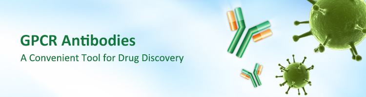 GPCR Antibodies