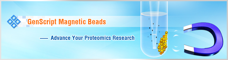 Magnetic Beads