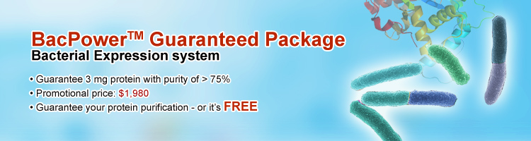 Bacterial Protein Expression Guaranteed Package