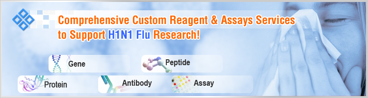 H1N1 Research Proudcts
