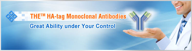 HA tag Antibody