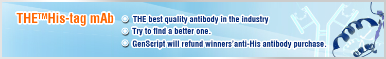 Tag Antibody Tag Antibody