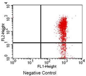 Apoptosis Detection Kit