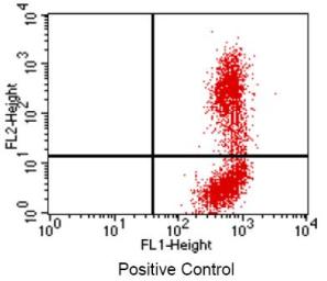 Apoptosis Detection Kit