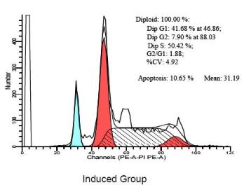 Cell Apoptosis PI Detection Kit