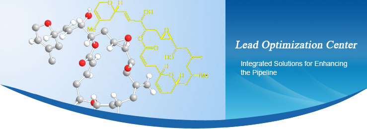 Lead Optimization