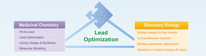 Lead Optimization Service