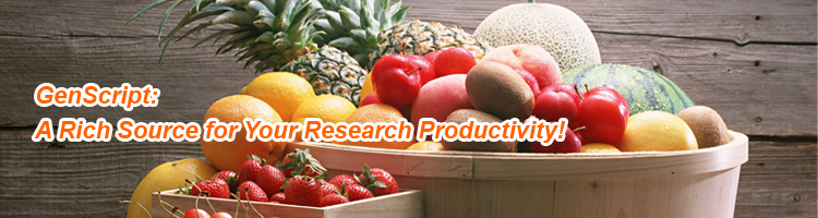 molecular biology products