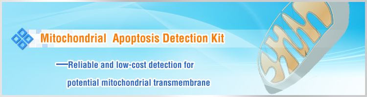 Mitochondrial Apoptosis Detection Kit
