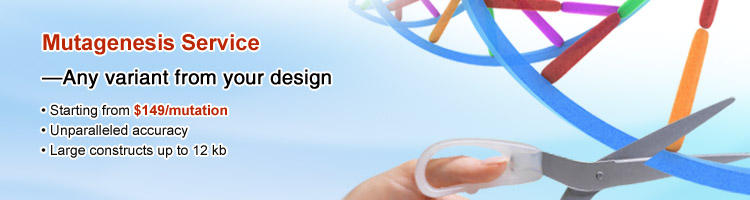 Site-directed mutagenesis service