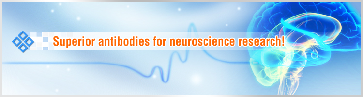 Neuroscience Antibodies