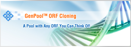 ORF cloing