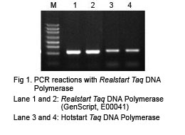 GCpro Taq DNA polymerase