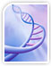 Mutagenesis Mutagenesis