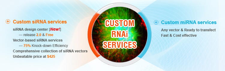Custom siRNA & miRNA Services