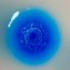 synthetic biology synthetic biology