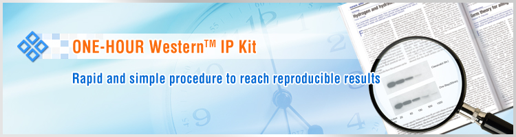 IP-Western Kit