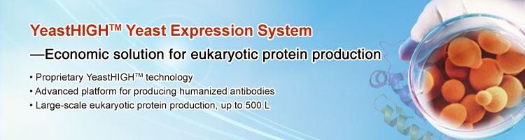 Yeast Expression System