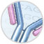 Antibody Sequencing Services Promotion