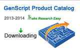 products catalog