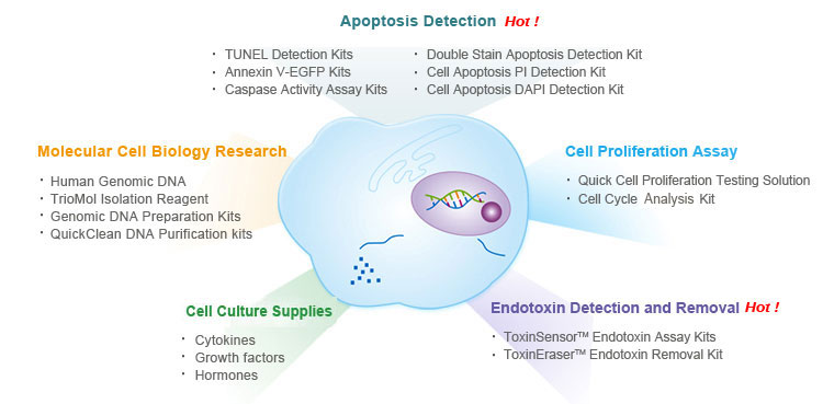 Products for Cell Biology Research