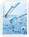 Cell cycle Analysis