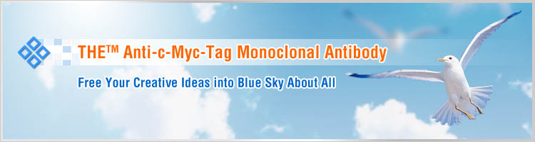 cMyc tag antibody