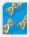 Direct PCR