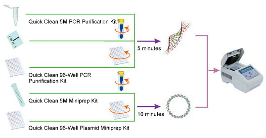 DNA Purification Kit Selection Guide