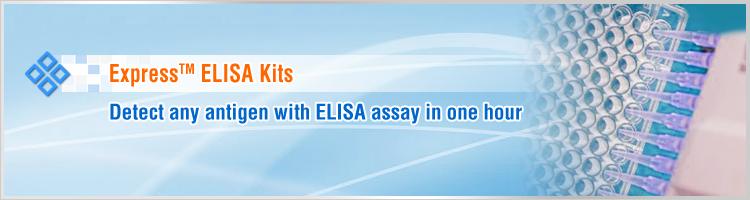 ELISA Kit, ELISA Detection Kit