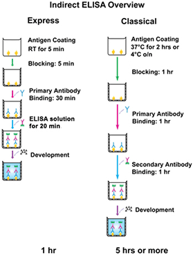 ELISA Kit, ELISA Detection Kit