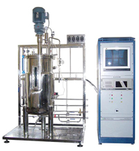 fermentor fermentor