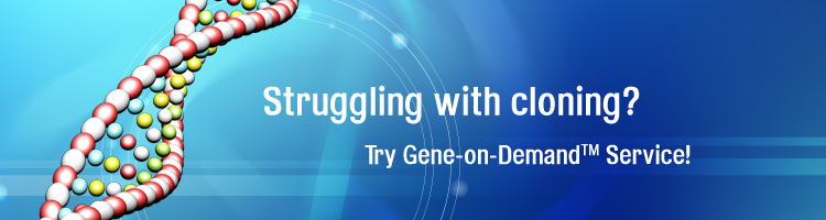 Servicio de Síntesis de Genes