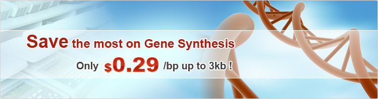 gene synthesis promotion
